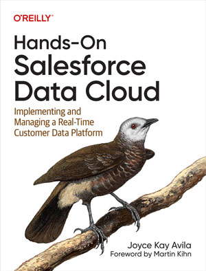 Hands-On Salesforce Data Cloud